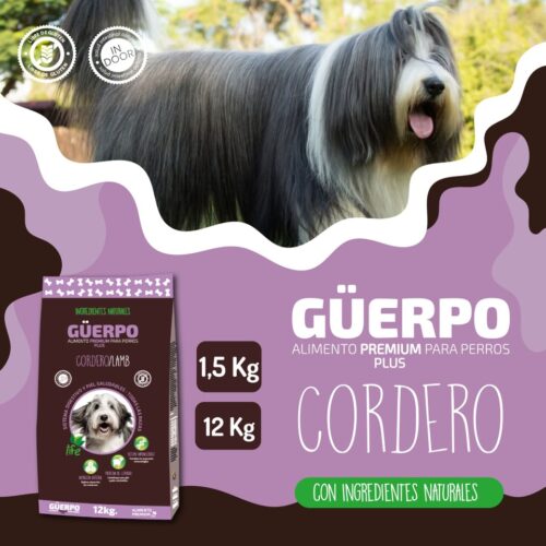 Guerpo Cordero
